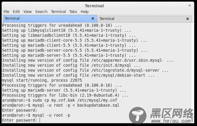 importing database