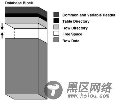 使用BBED理解和修改Oracle数据块