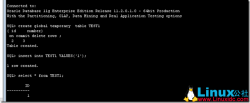 <strong>Oracle temp表的简介</strong>