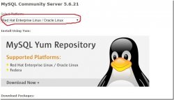 CentOS 6.5下安装MySQL 5.6.21