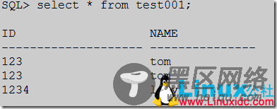 Oracle 12C SQL方面新特性小结
