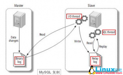MySQL主从复制的搭建