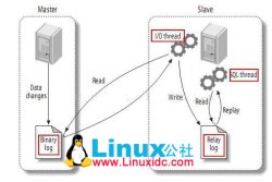 MySQL 5.5.40实现一主多从 One