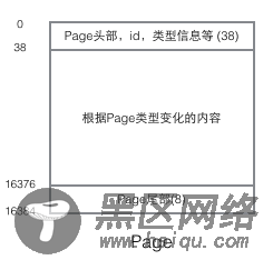 MySQL的InnoDB索引详细分析