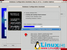 Oracle 11gR2 RAC环境DBCA创建数据库报错ORA