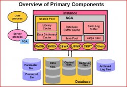 Oracle体系结构总体概述