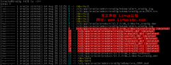 rf 误操作的恢复过程