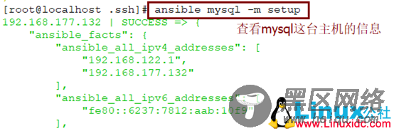 自动化运维之Ansible的安装部署与命令模块