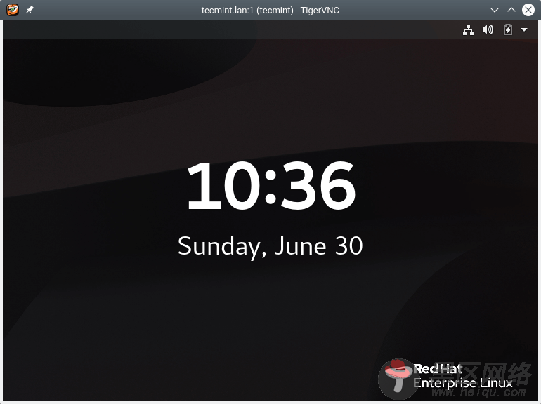 如何在RHEL 8上安装VNC服务器