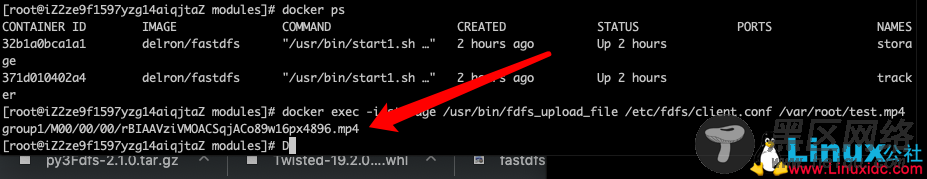Docker来搭建分布式文件系统FastDFS