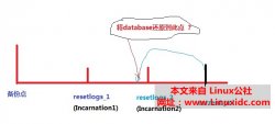 Incarnation应用（不完全恢复）