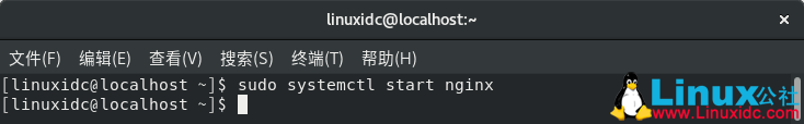 5分钟学会在CentOS 8上安装Nginx
