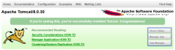 <strong>Tomcat Web页面管理应用配置与报403解决方法</strong>