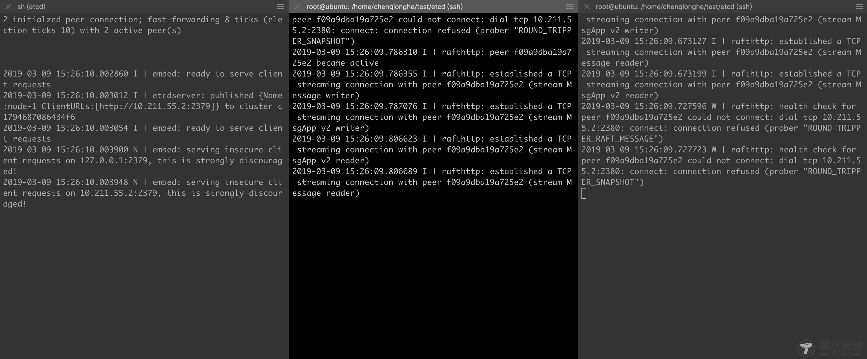 从零开始搭建etcd分布式存储系统+Web管理界面