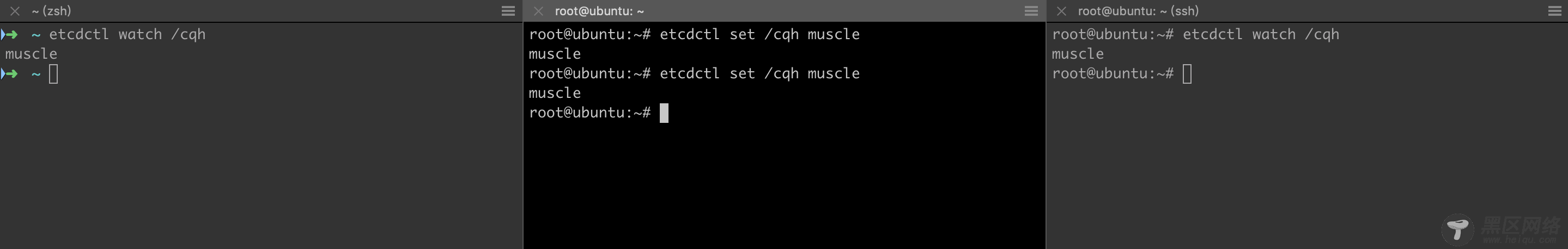从零开始搭建etcd分布式存储系统+Web管理界面