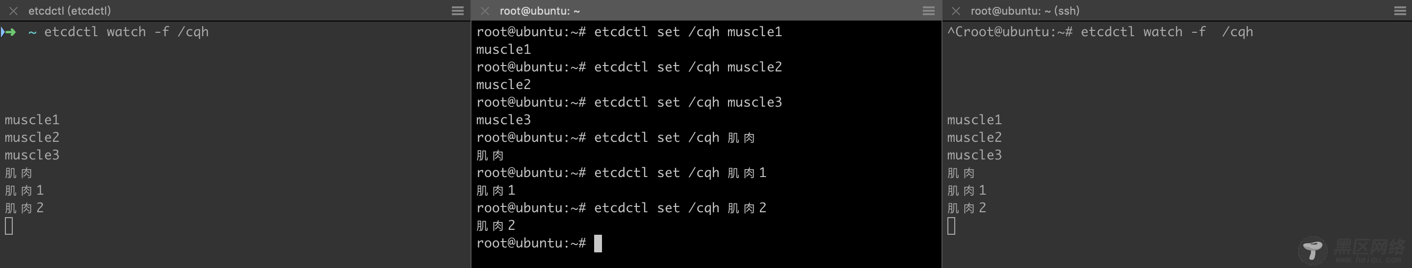 从零开始搭建etcd分布式存储系统+Web管理界面