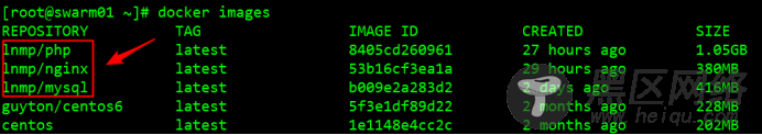 Docker分离环境搭建LNMP并部署Discuz