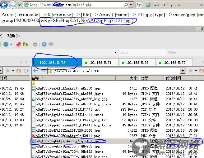 CentOS 7.5下搭建高可用的FastDFS分布式文件系统