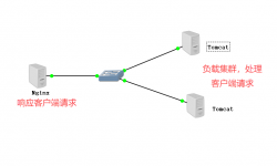 Linux环境搭建Nginx+Tomcat负载均衡集群