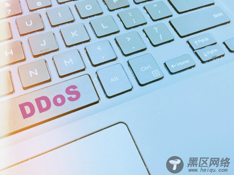 WordPress主题开发者将客户当肉鸡，向他们的对手发动DDoS