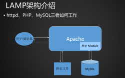 LAMP环境搭建与配置