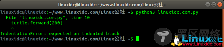 Python出现IndentationError:expected an indented bloc