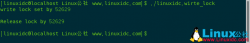 <strong>Linux文件锁基本概念及其实例</strong>
