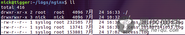 滚动 Docker 中的 Nginx 日志