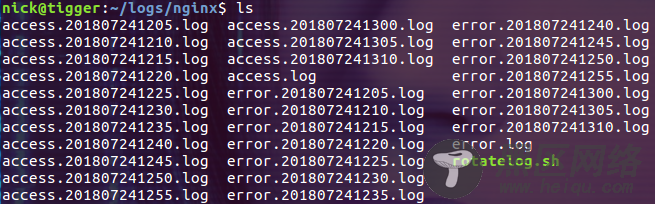 滚动 Docker 中的 Nginx 日志