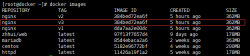 使用Dockerfile构建Nginx镜像