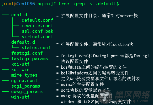 高性能Web服务器Nginx使用指南