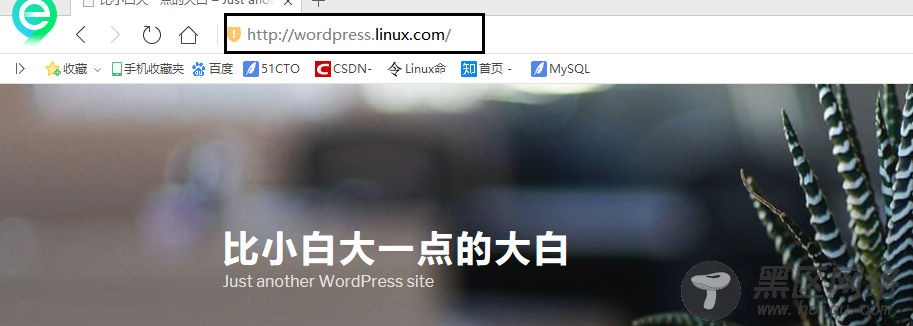 高性能Web服务器Nginx使用指南