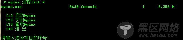 Nginx+IIS实现负载均衡