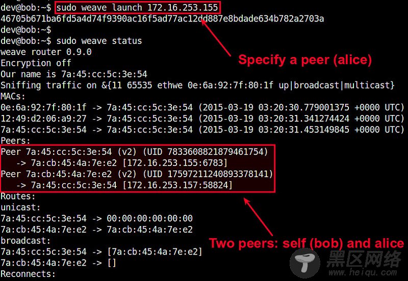 如何在 Docker 容器之间设置网络