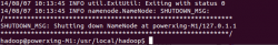 虚拟机下Linux系统Hadoop单机/伪分布式配置:Hadoop