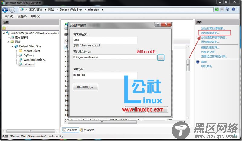 基于mimeTex的数学公式WebService的部署和实现