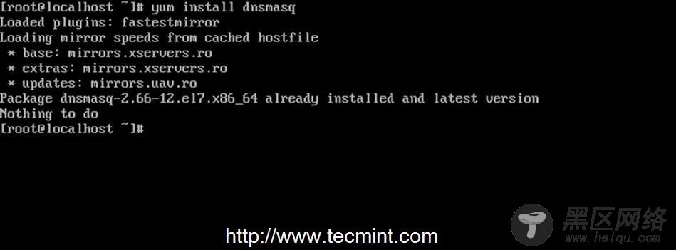 Install dnsmasq Package