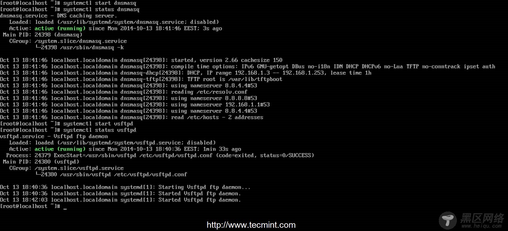 Start Dnsmasq Service