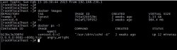 Docker构建Nginx+Tomcat动静分离架构