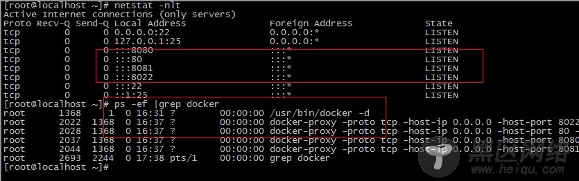 Docker构建Nginx+Tomcat动静分离架构