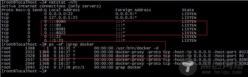 Docker构建Nginx+Tomcat动静分离架构
