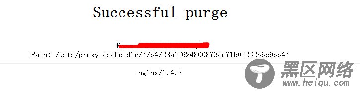 构建Nginx Cache高性能缓存系统
