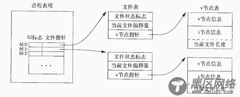 《UNIX环境高级编程》文件共享及fork函数