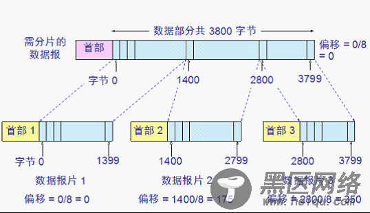 IP 数据报格式详解