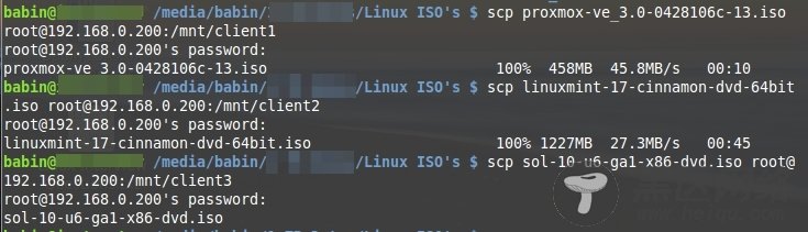 Add Files To Volumes