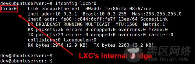 如何在 Ubuntu 上使用 LXC 容器