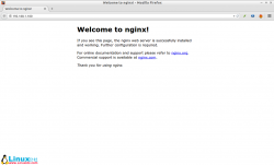 在 Ubuntu 14.10/14.04/13.10 上安装 LEMP 服务和 phpMyAd