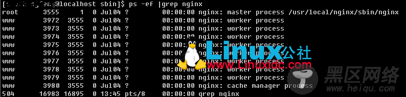 Linux下查看Nginx安装目录、版本号信息?