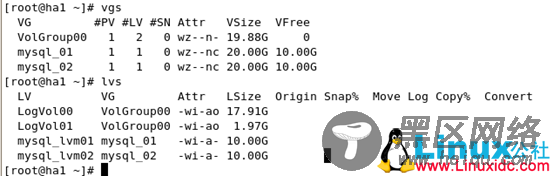 RedHat HA 普通磁盘更换LVM