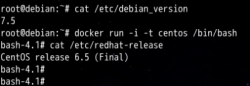 在Debian 7 下安装Docker 虚拟一个CentOS